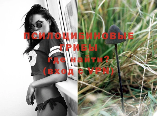 стафф Нея