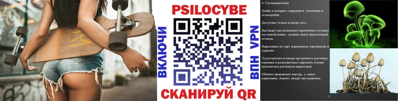 где найти Крымск Псилоцибиновые грибы Psilocybe