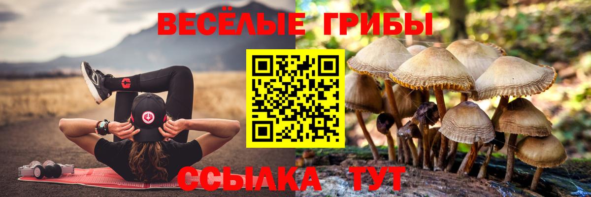 Галлюциногенные грибы прущие грибы  Вход с VPN  Крымск 