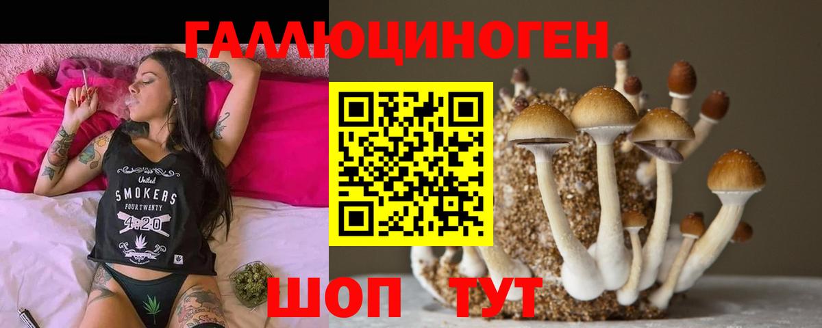 Крымск  КОКАИН  Конопля  МАРИХУАНА  Вход с VPN  Мефедрон  МЕТ  Меф  Масло ТГК  Гашик  A-PVP 